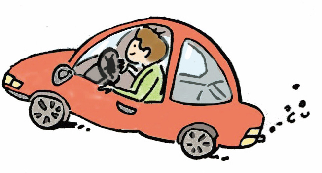 d. Ich fahre gern Auto.